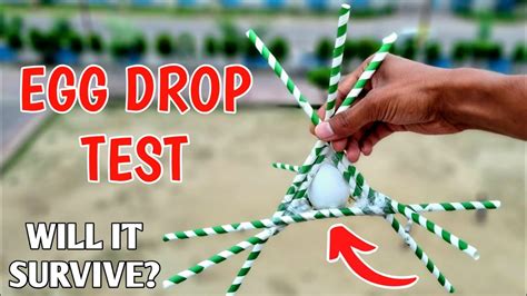 the human egg drop test|egg drop test ideas.